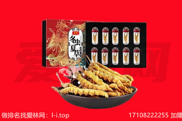 运城芮城县回收虫草.jpg